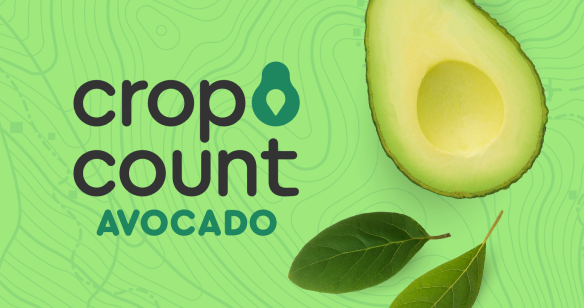 Green background with logo Crop Count avocado in the middle with picture of avocado on the right