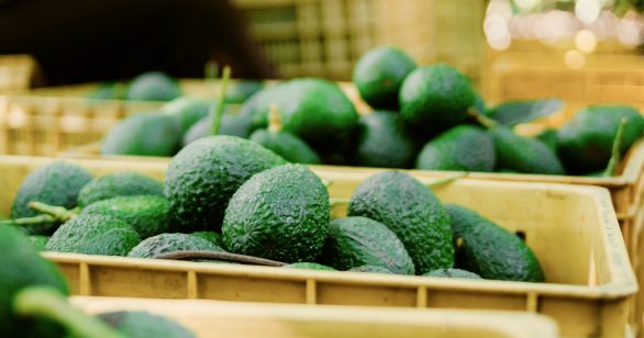 Baskets of bright green avocados