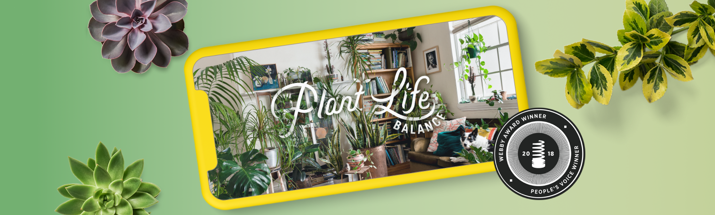 Yellow phone encasing photo of room full of plants with Plant Life Balance logo in the middle